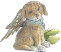 an angel dog
